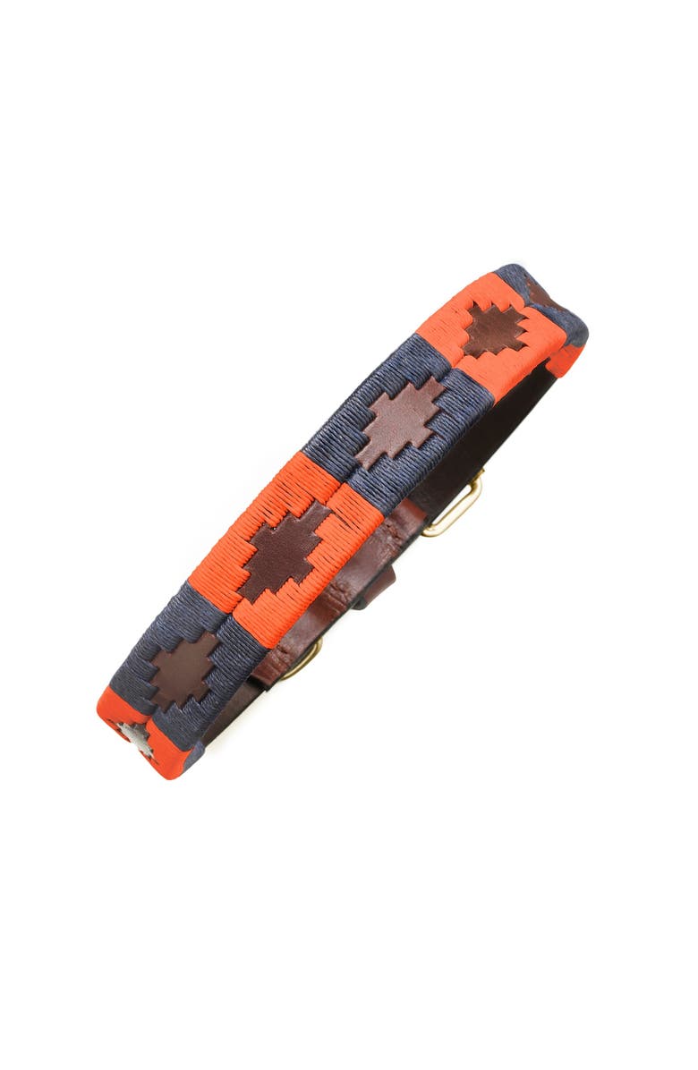 pampeano Pampa Dog Collar - Audaz, Main, color, 