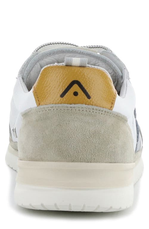 AMBITIOUS AMBITIOUS 11939 LOW TOP SNEAKER