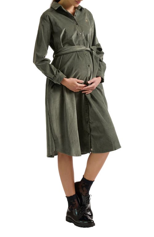 Zzdnu Cache Couer Jude Maternity Dress In Brown