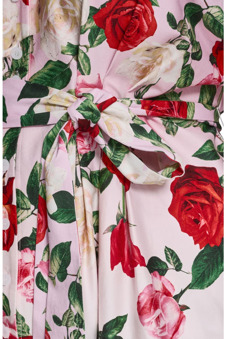 Placed Floral Stretch Cotton Midi Shirtdress, Alternate, color, CORNELIA ROSE/ SFT WHT MULTI