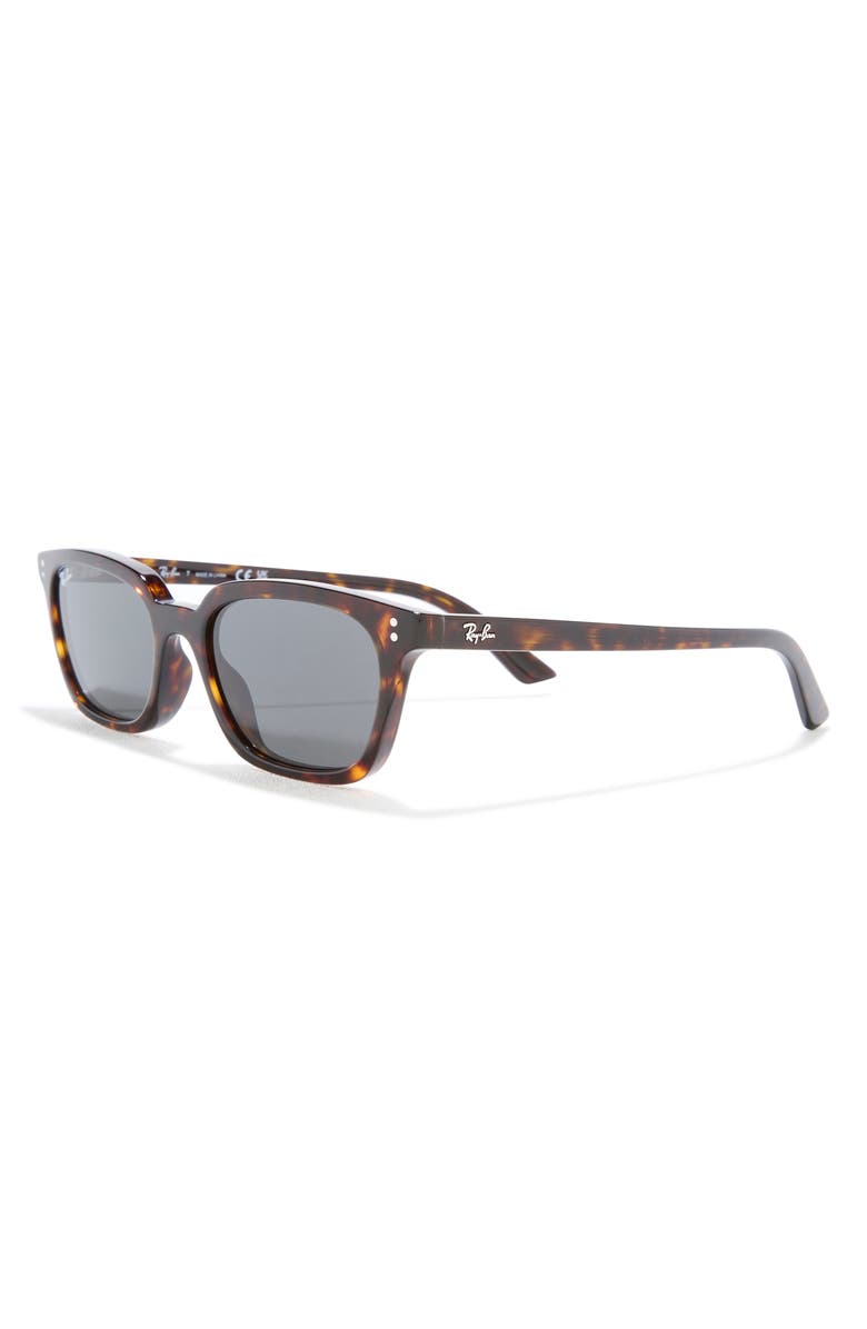 Ray-Ban Zaya 53mm Sunglasses, Alternate, color, Havana