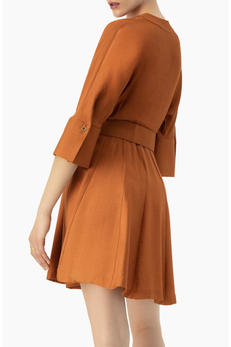 Dolman Sleeve Solid Dress with Belt, Alternate, color, Brown