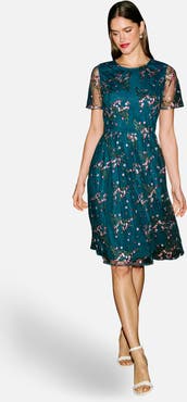 Yumi Embroidered Floral Mesh Fit-Flare Dress