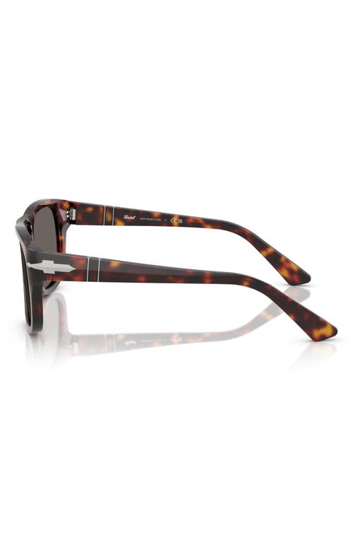 Persol 55mm Square Sunglasses In Havana