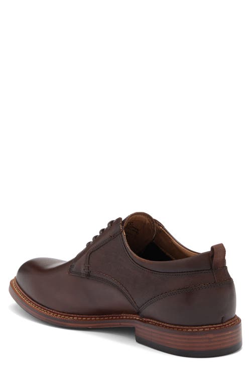Steve Madden Espen Plain Toe Derby In Brown