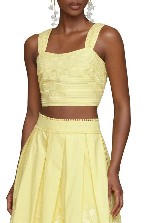 Avec Les Filles Embroidered Cotton Crop Tank In Citron