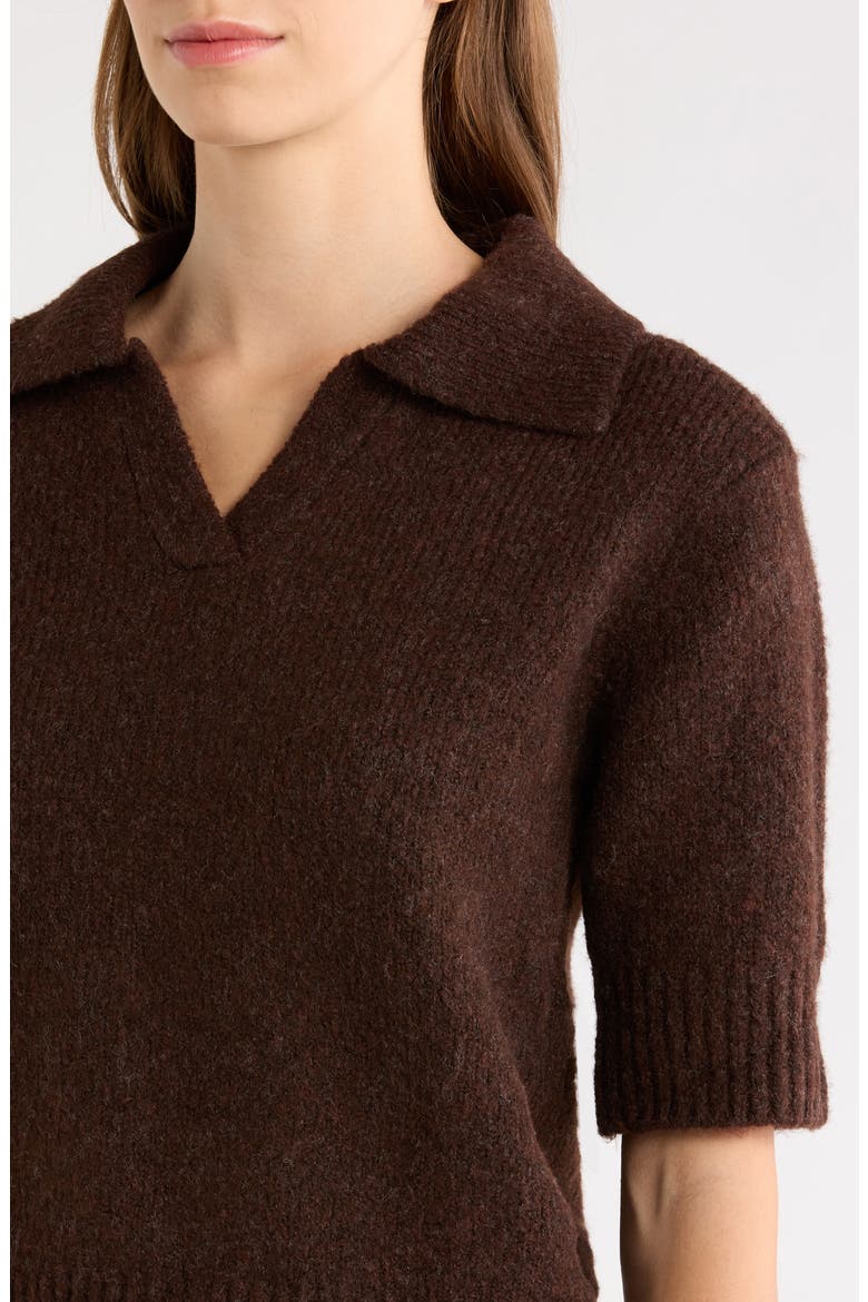 Shiloh Polo Sweater, Alternate, color, CHOCOLATE