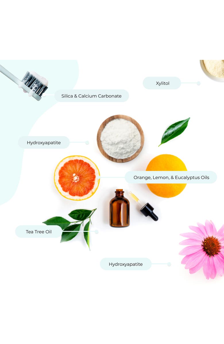 RISEWELL Wild Mint Mineral Toothpaste, Alternate, color, 