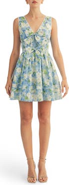 Arose Studio Aria Floral Print Sleeveless Minidress