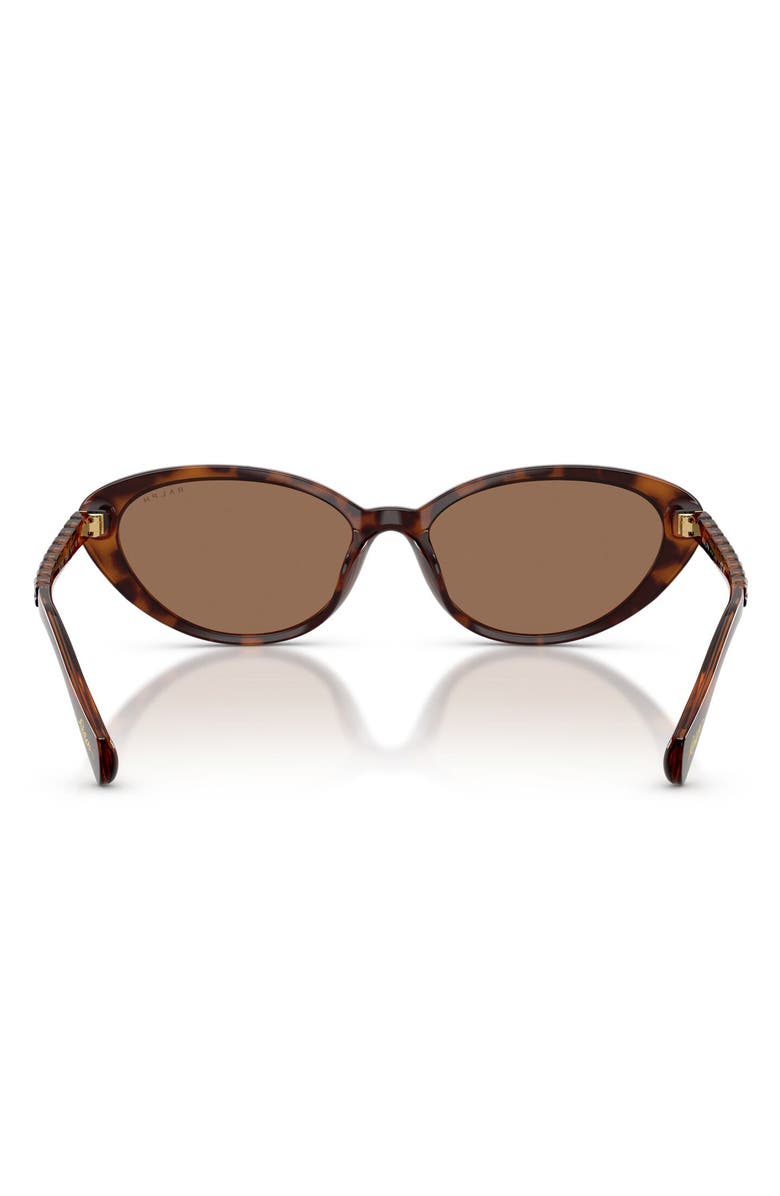 Ralph Lauren 56mm Butterfly Sunglasses, Alternate, color, Shiny Dark Havana / Brown