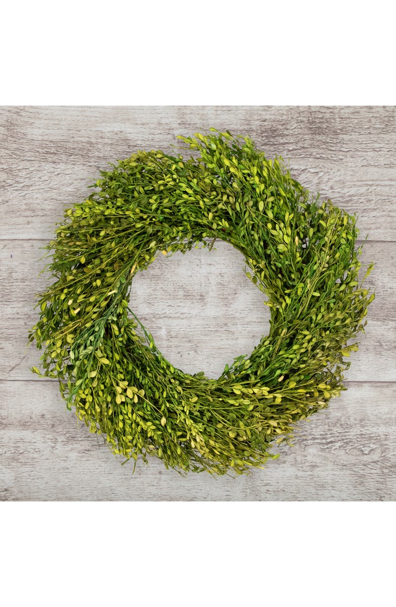 Northlight Green Foliage Artificial Spring Wreath - 20' - Unlit, Alternate, color, Green