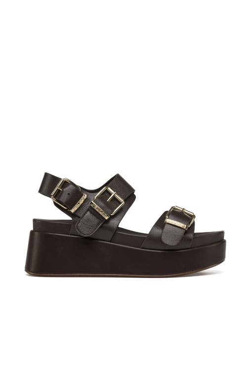 Jslides Footwear Brooke Platform Sandal In Dark Brown
