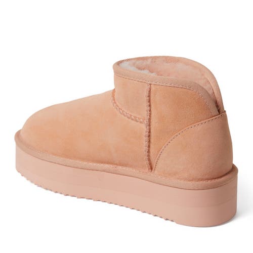 Dearfoams Fireside Kingston Genuine Shearling Platform Bootie In Peach Dust