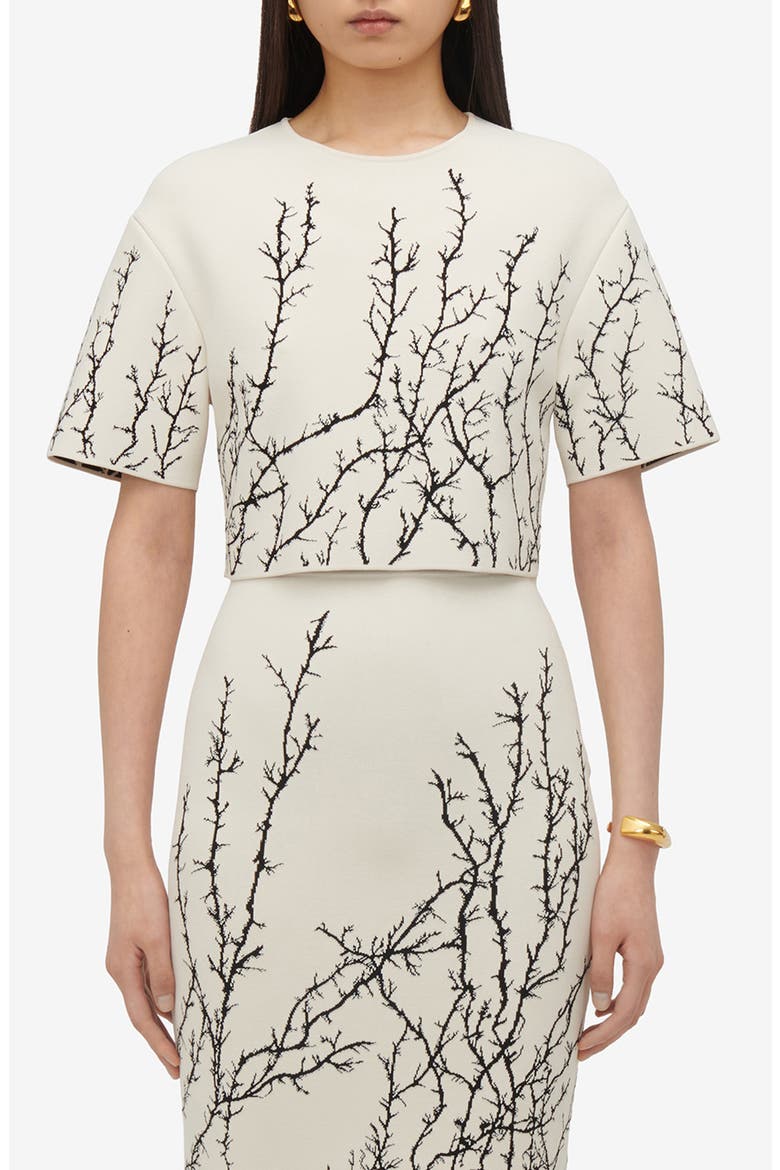 Thorn Jacquard Crop Top, Main, color, IVORY/ BLACK
