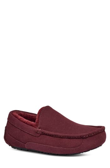 Ugg Ascot Slipper In Burgundy