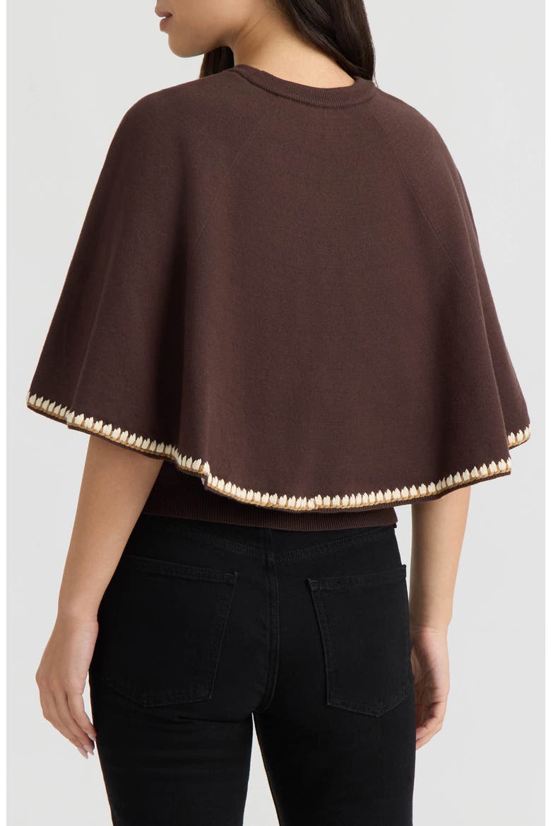 Embroidered Cape Sleeve Sweater, Alternate, color, GROUND COFFEE