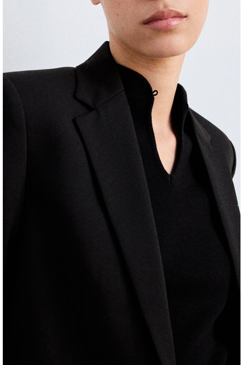 Notch Collar Blazer, Alternate, color, BLACK