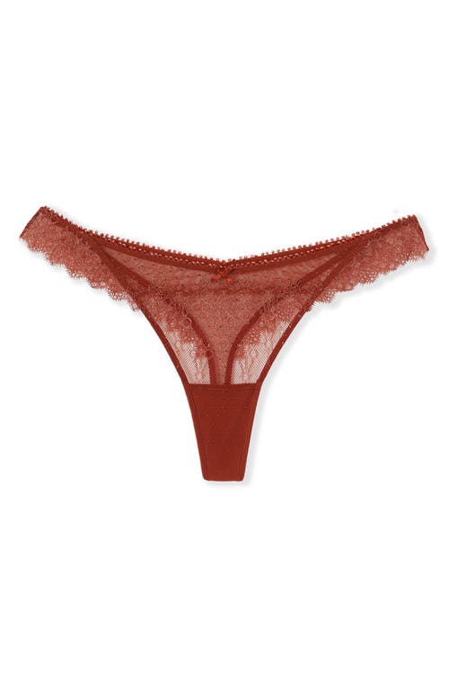 Etam Allusion Tulle & Lace Panties In Brown
