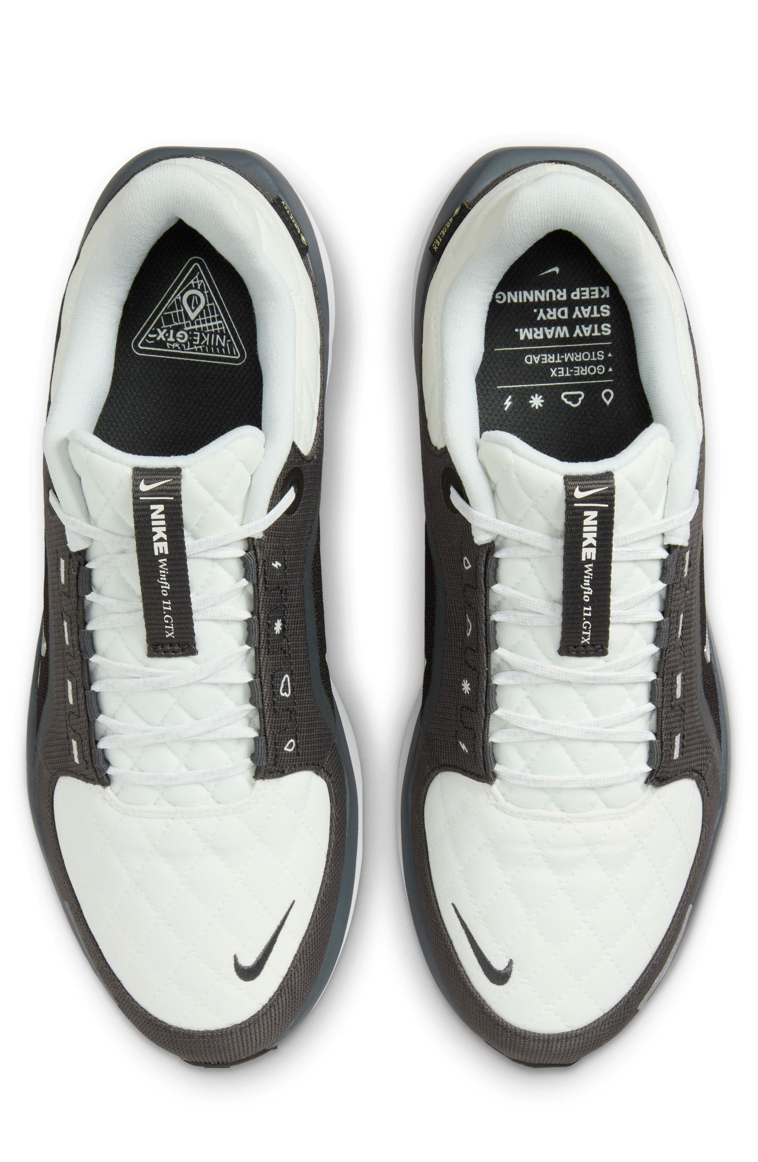 Nike Air Winflo 11 GTX Running Shoe, Alternate, color, 004 Anthra/M Silv