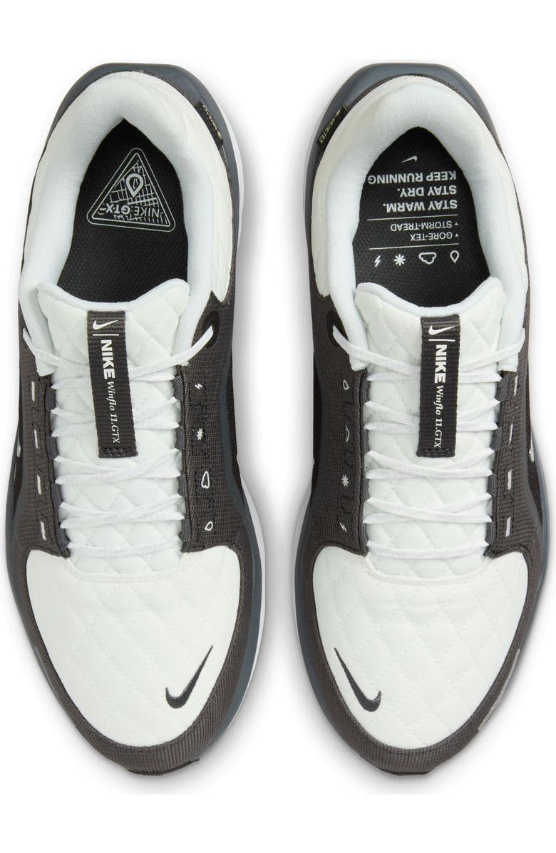 Nike Air Winflo 11 GTX Running Shoe, Alternate, color, 004 Anthra/M Silv
