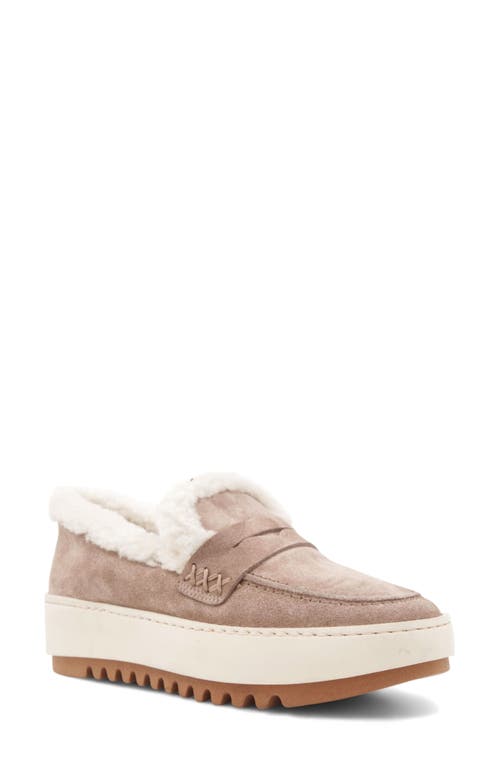 Aquatalia Ameila Genuine Shearling Lined Penny Loafer In Neutral