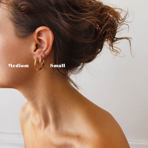 Astor & Orion Crescent Hoops In Gold