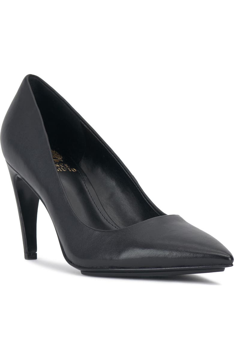 Vince Camuto Brislana Pointed Toe Pump, Main, color,