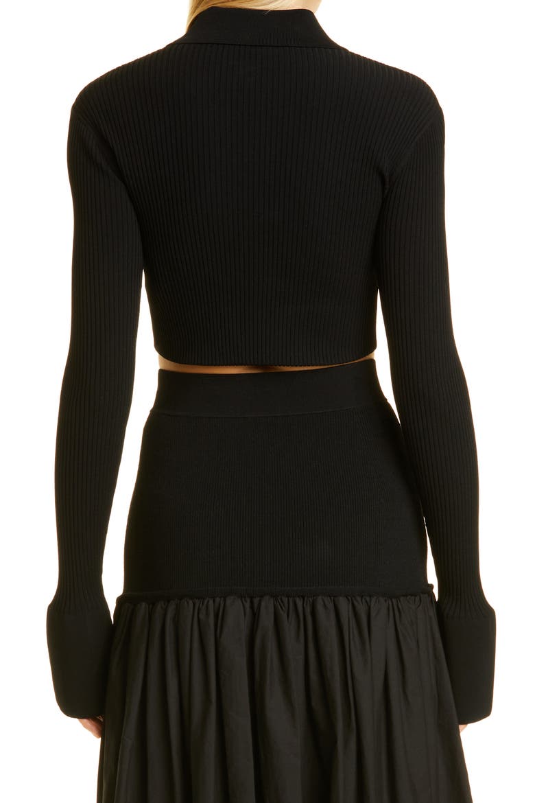 Ashlyn Rib Crop Sweater, Alternate, color, BLACK