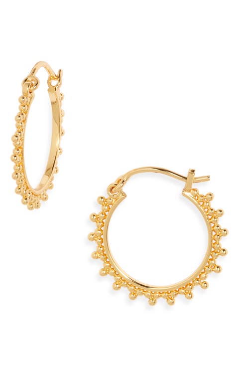Medium Sol Hoop Earrings