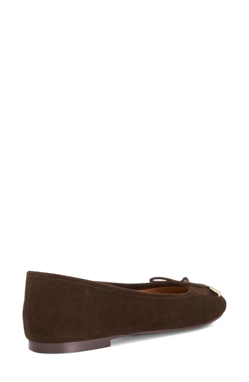 Dune London Highest Cap Toe Ballet Flat In Brown
