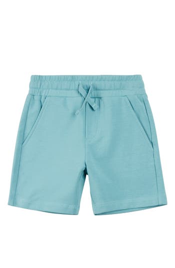 Miles The Label Boys' Reef Terry Shorts - Little Kid, Big Kid In Blue