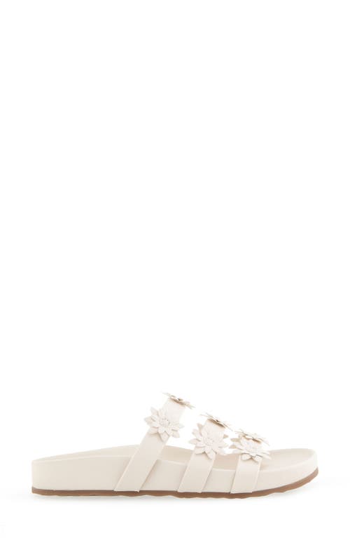 AEROSOLES AEROSOLES LEFLOR SANDAL