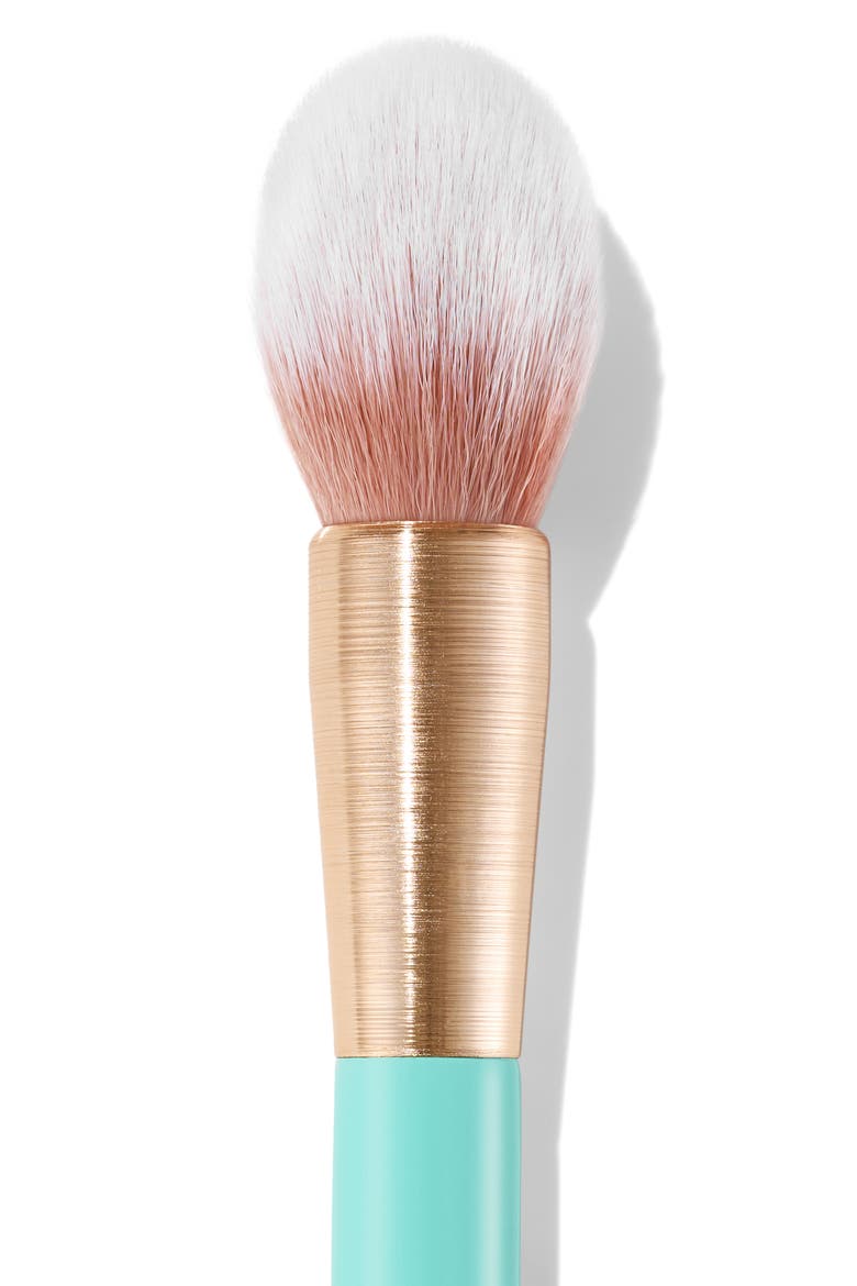 Powder Brush, Alternate, color, NO COLOR