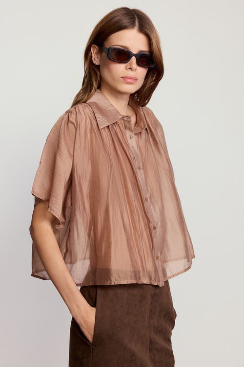 The Shirt By Rochelle Behrens The Hayden Shirt In Brown