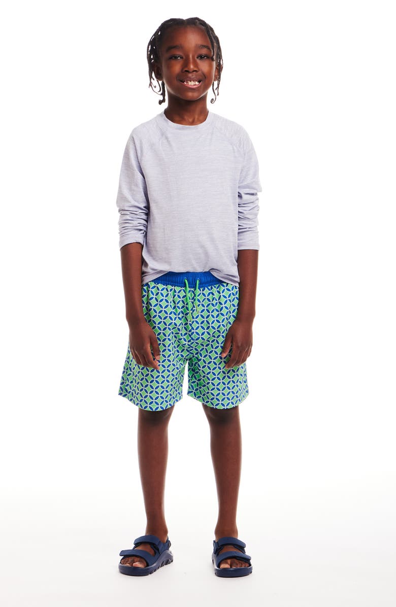 Andy & Evan Kids' Print Swim Trunks, Alternate, color, 