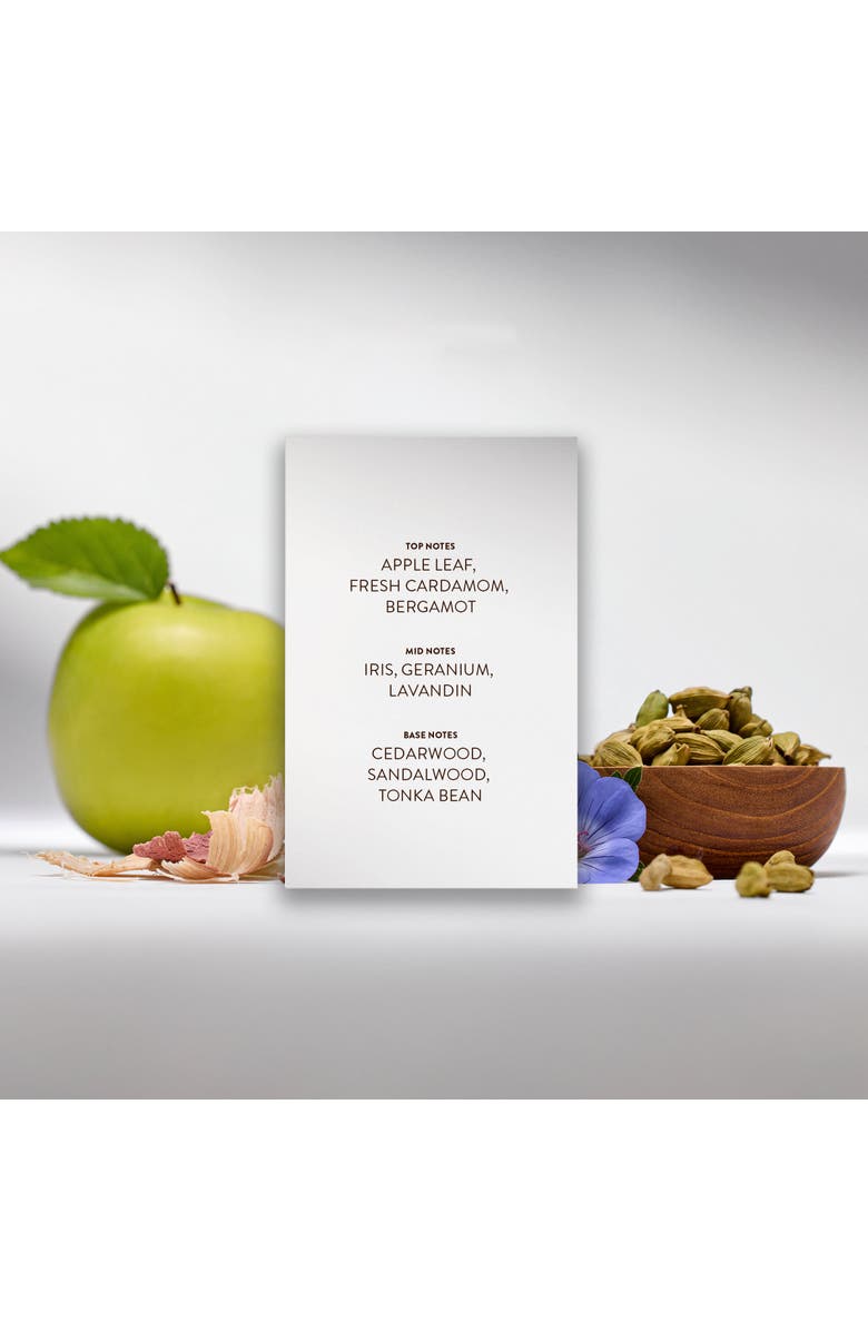 Michael Malul KTORET San Lucas 0.33oz/10mL Men's EDP, Alternate, color, Aqua