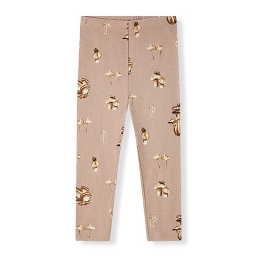Milkbarn Organic Cotton Jogger In Brown