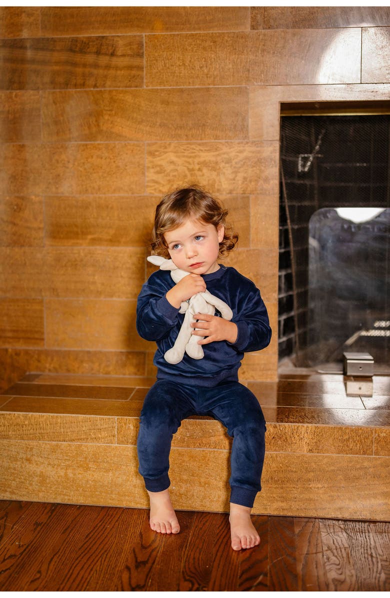 Pouf Boys Velour Bunny Set, Alternate, color, Blue