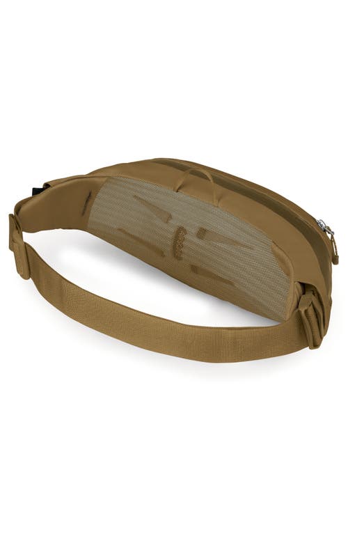 Osprey Daylite Waist Pack In Green