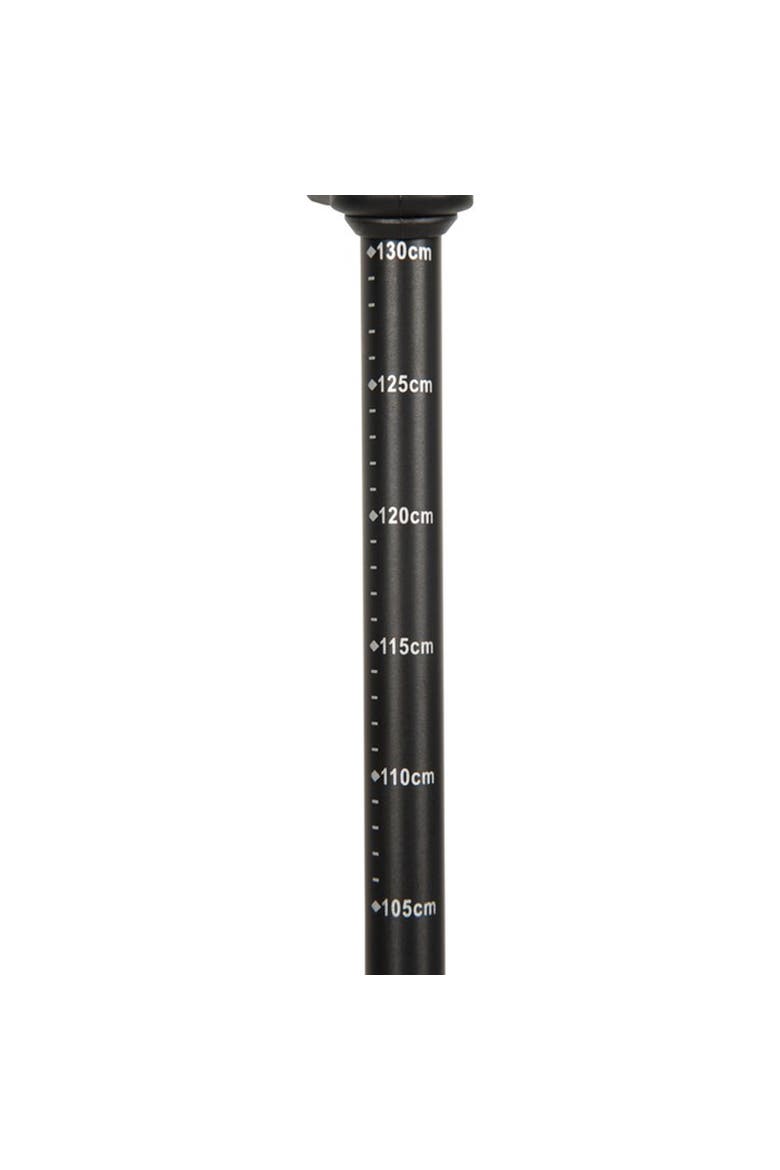 Storr Trekking Pole, Alternate, color, Jet Black
