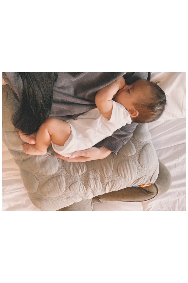 Niche Organic Cotton Feeding Pillow, Alternate, color, MISTY