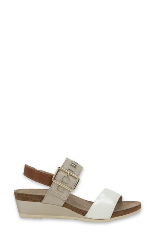 Naot Dynasty Wedge Sandal