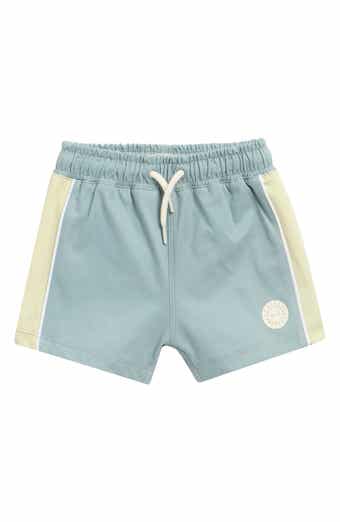 Paneled Board Shorts