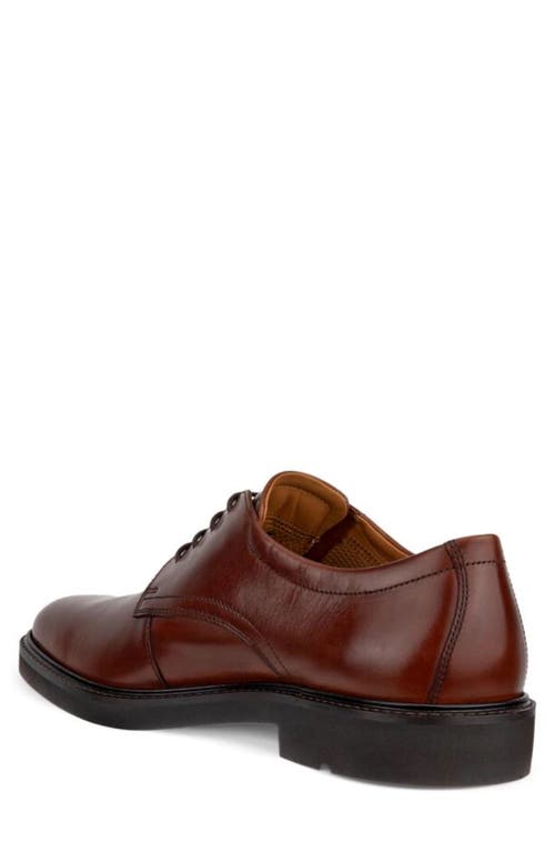 Ecco Metropole London Derby In Brown