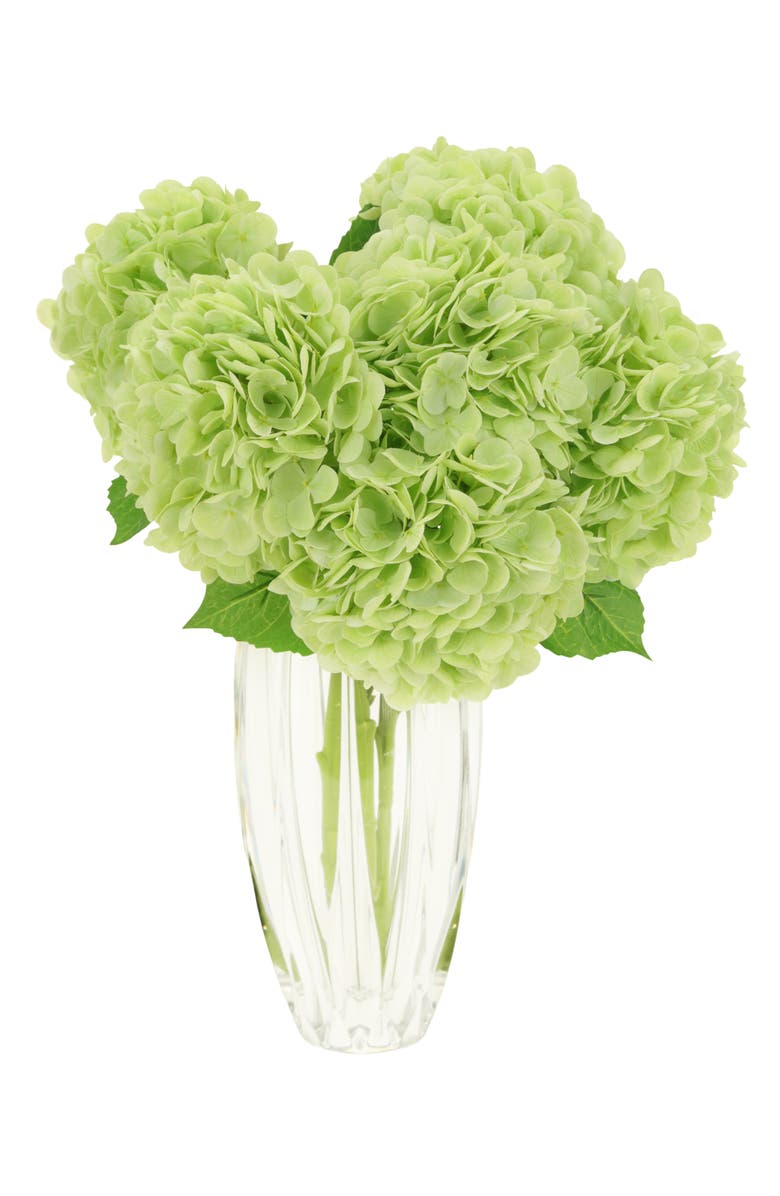 Mark Roberts Vibrant Hydrangea Natural Touch, Box of 6, Alternate, color, Light Green