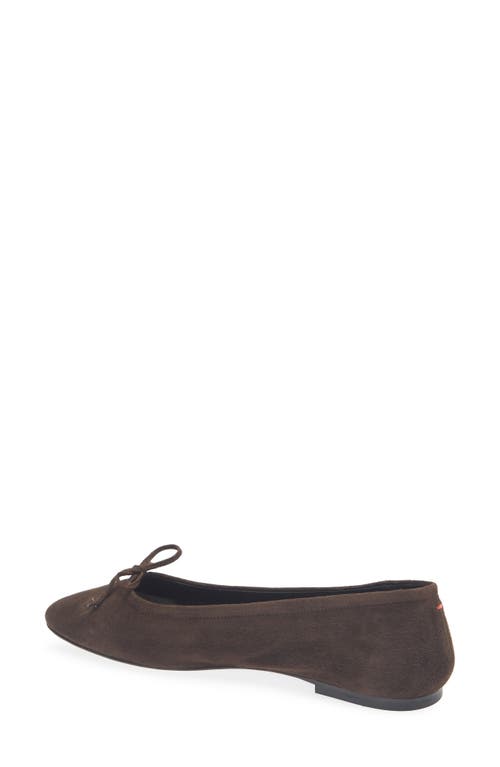Aeyde Delfina Ballet Flat In Brown