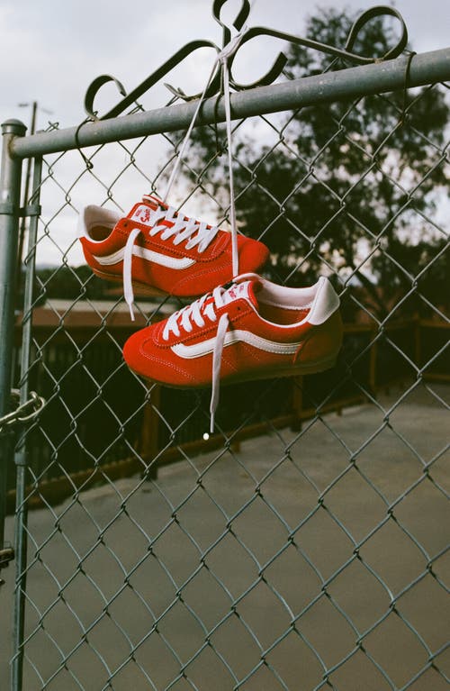 Vans Super Lowpro Sneaker In Animal Print