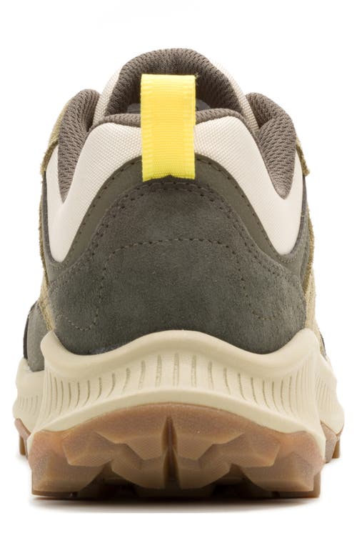 Merrell Tempo Sol Hiking Sneaker In Dark Moss