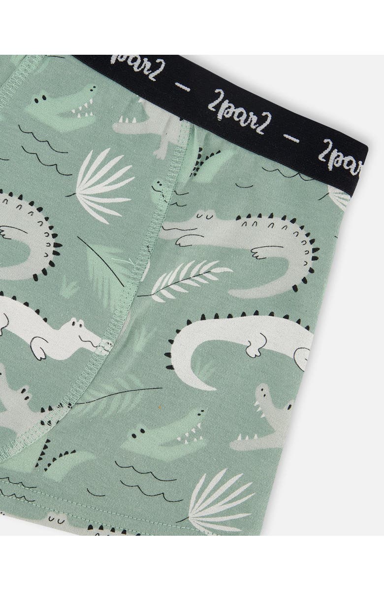Deux par Deux Boy's Printed Organic Cotton Boxer Shorts Light Sage And Gray Crocodile, Alternate, color, Light Sage And Gray Crocodile