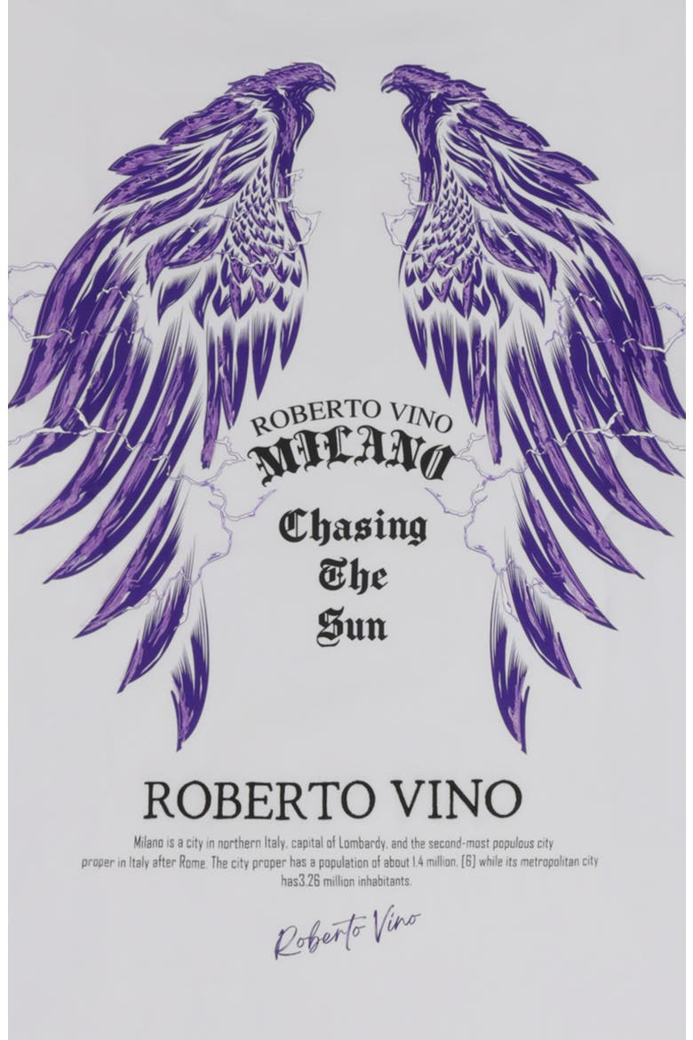 Chasing the Sun Winged Graphic Slim Fit T-Shirt, Alternate, color, White